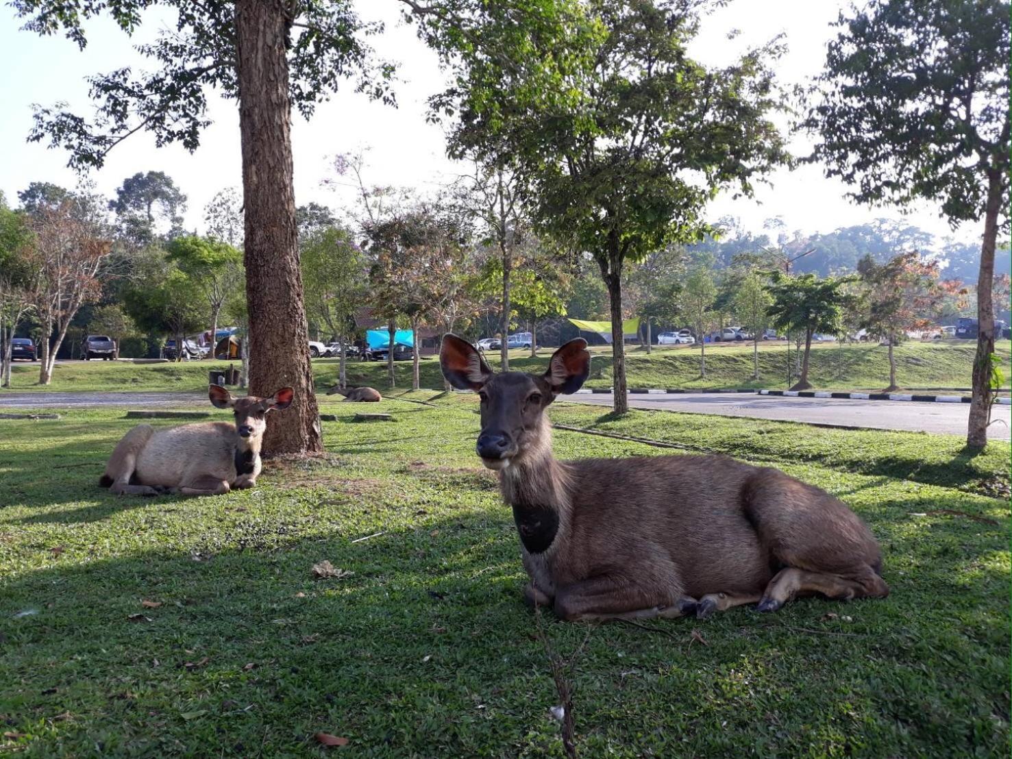 Annie Villa At Khao Yai 무 시 외부 사진